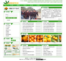 零成本建站新選擇 卓天網(wǎng)絡(luò)賦能普通用戶實(shí)現(xiàn)網(wǎng)站夢想